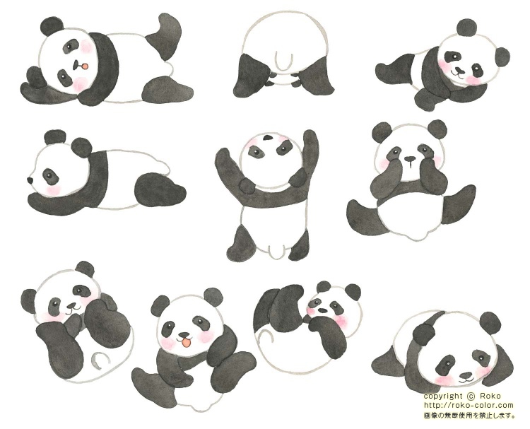 パンダ図鑑 パンダのせいかくうらない アイコン01 イラスト